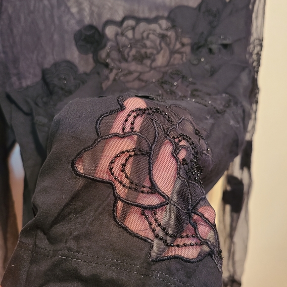 Incredible Laurèl sheer black mesh long sleeve - Picture 2 of 4